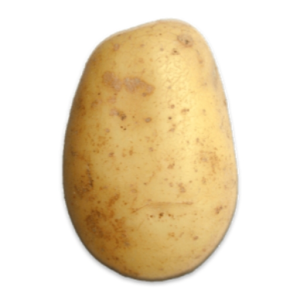 masha_potato
