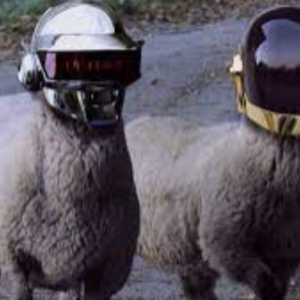 Sheepkage羊の達人
