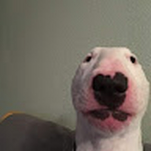 mateodebello7moima_gmail_com