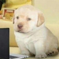 matimucek_mm_gmail_com