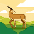 mattcarson256_gmail_com