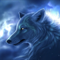 max_music505