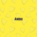 Andui