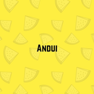 Andui