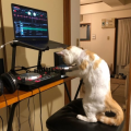 maxicedout