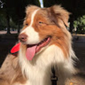 maximecutaya_icloud_com