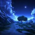 maxnightrabbit_gmail_com