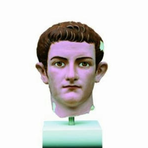 Maxwelll Sparey