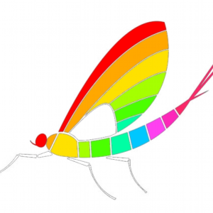 mayfly