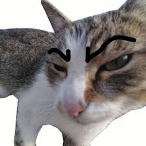 MBR