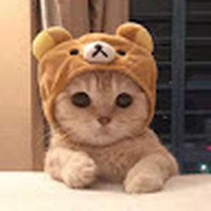 Memuru