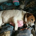 mia_brady55_gmail_com
