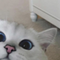 nidefawl