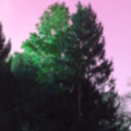 MIDXWESTProductions