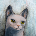 miintcattu
