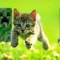 minecrafter970