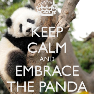 mintypanda8