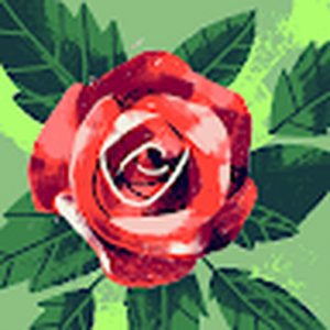 Missofie_1900
