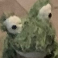 Mister-frog
