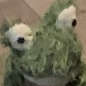 Mister-frog