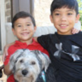 mlieu618_gmail_com