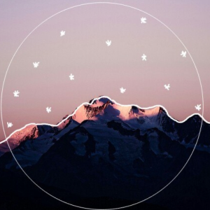 M ll N M