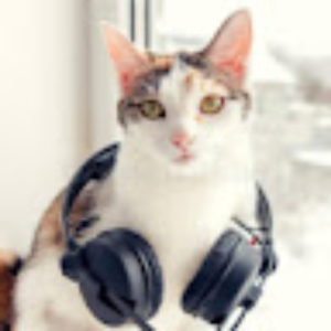 mmmlem