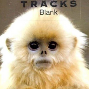 monkey04
