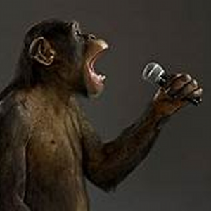 MonkeyFB