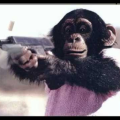 MonkeyPuncher45