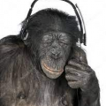 monkymanic