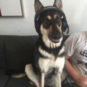 monsterwolf