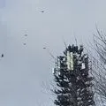 moodalert.