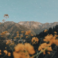 moonxlight_xo