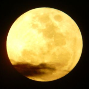 Moonymoon