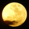 Moonymoon