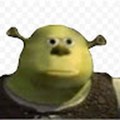 Moss_12