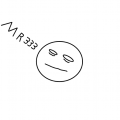 mr333