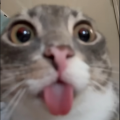 MR_PRODexuse