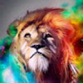 mraj_su92_gmail_com