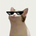MrSmoores