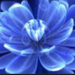 mshah3713_stu_pcssd_org