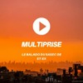 multiprise