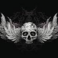 music-loveer