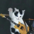 musicmat