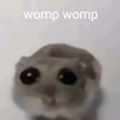 MynameisAmylolz