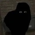n0p3s0rry
