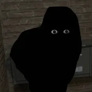 n0p3s0rry