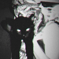 n1gm3r