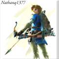 Nathanq1377